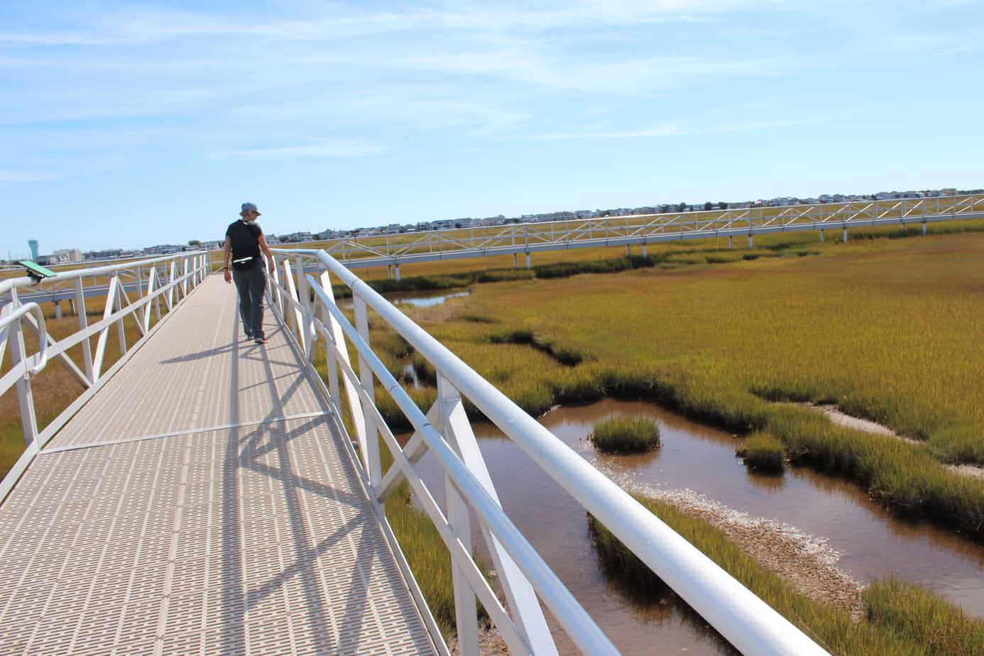 A metal bridge allows you to walk directly out in the salt marsh. It is an important part of the Jersey shore ecosystem.