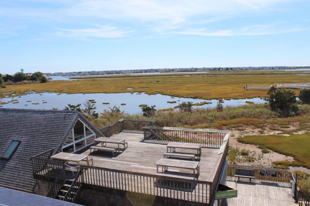 From the top, you get a great view of the wetlands, a unique feature of the Jersey shore.