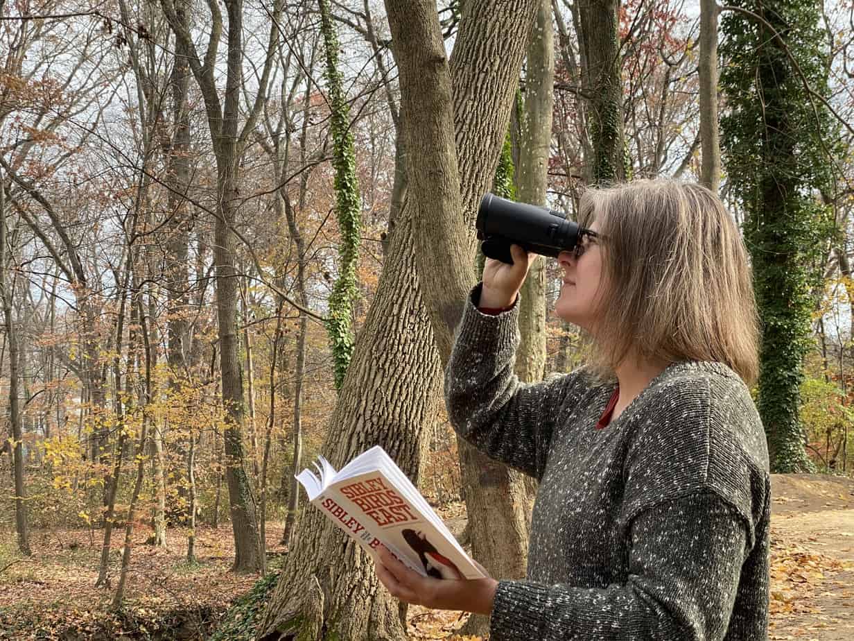 looking for birds to identify through binoculars