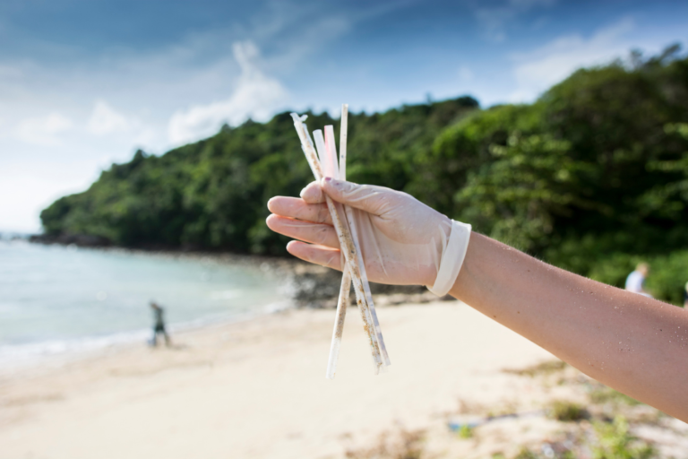 Make Your Vacation More Meaningful: Monitor Marine Debris