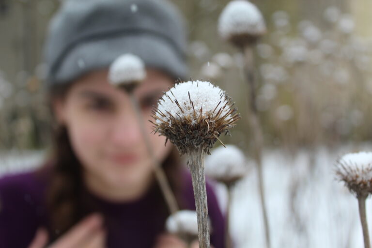 10 Simple Ideas for Homeschool Nature Study in Cold Weather