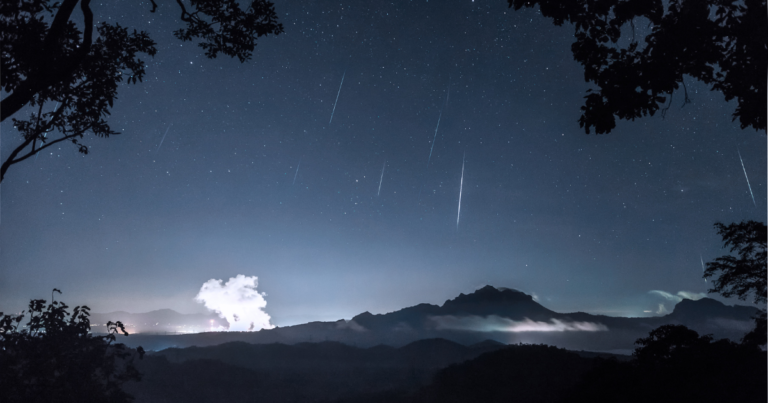The Geminid Meteor Shower: A Fun, Free & Easy Field Trip!