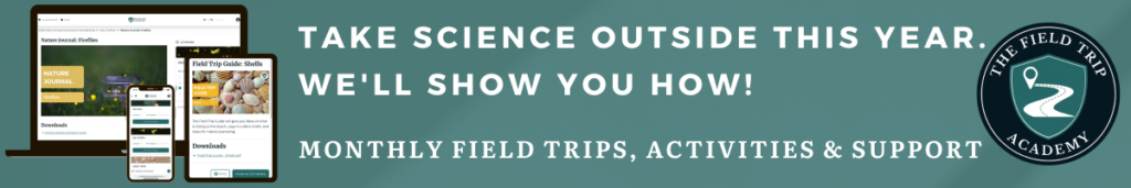 The Field Trip Academy banner