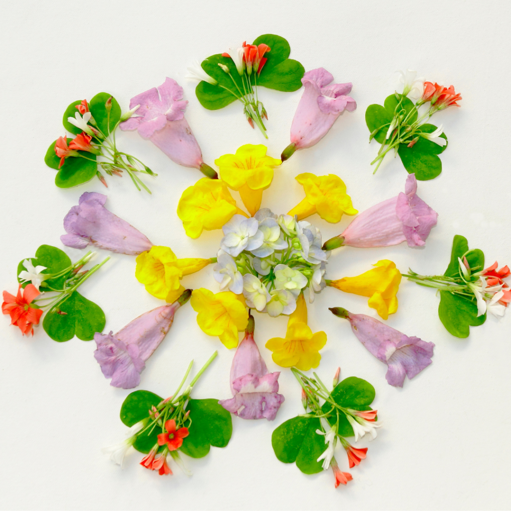 flower mandala