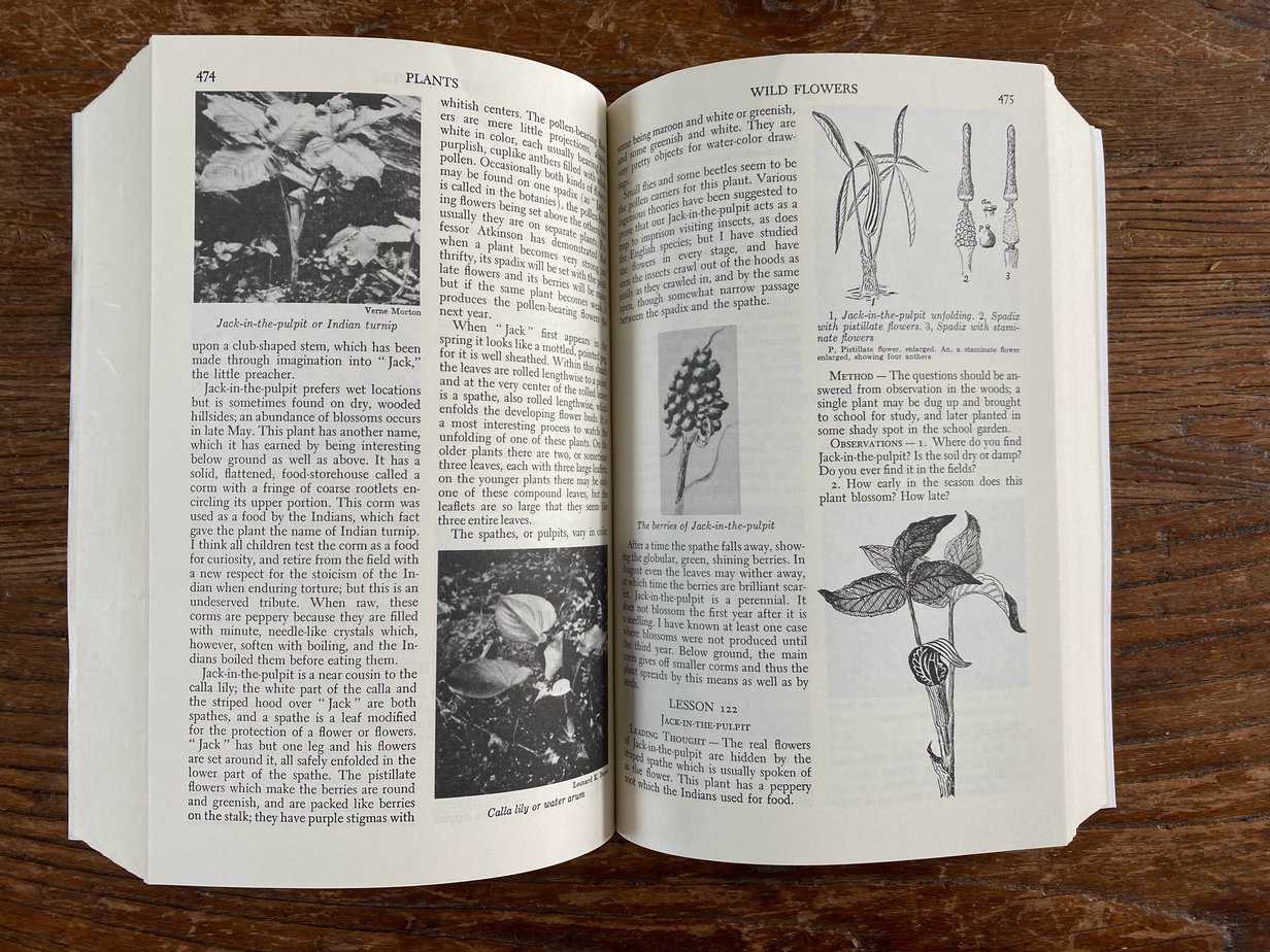 handbook of nature study comstock