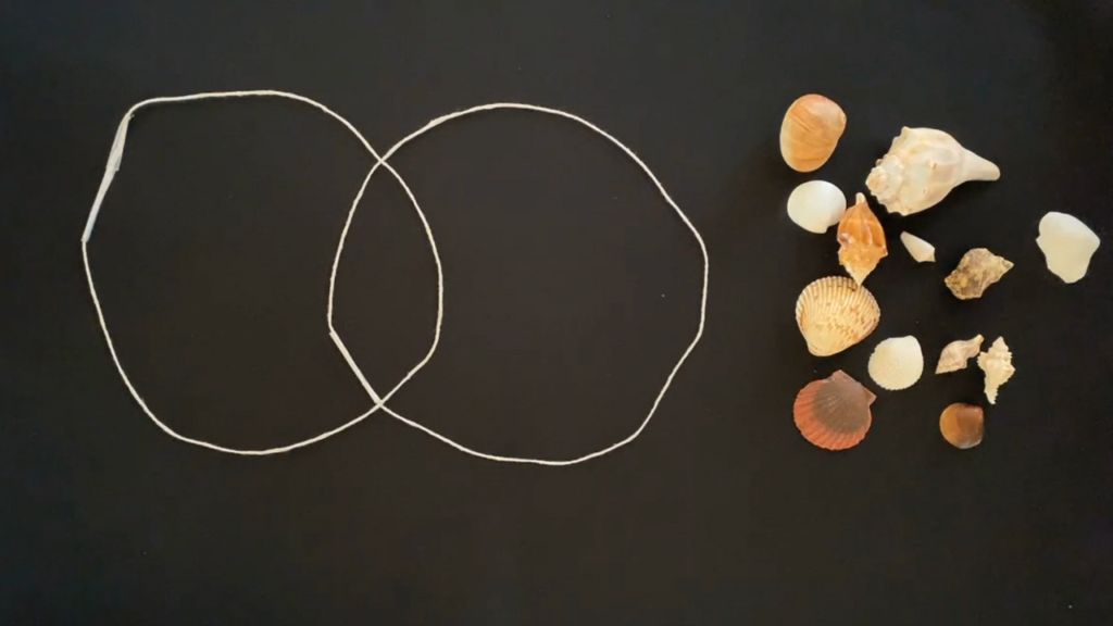 Motivate your teen by playing interdependent games like this one with Venn diagrams and shells