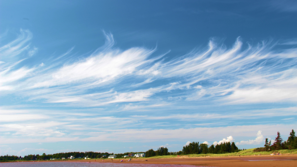 cirrus clouds high in the sky