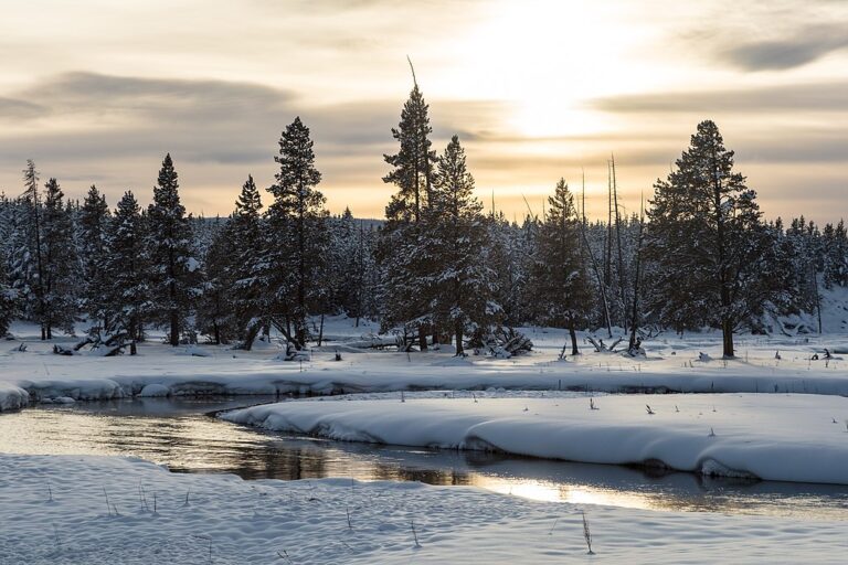 Winter Solstice Activities for Homeschoolers: Science Behind the Seasons