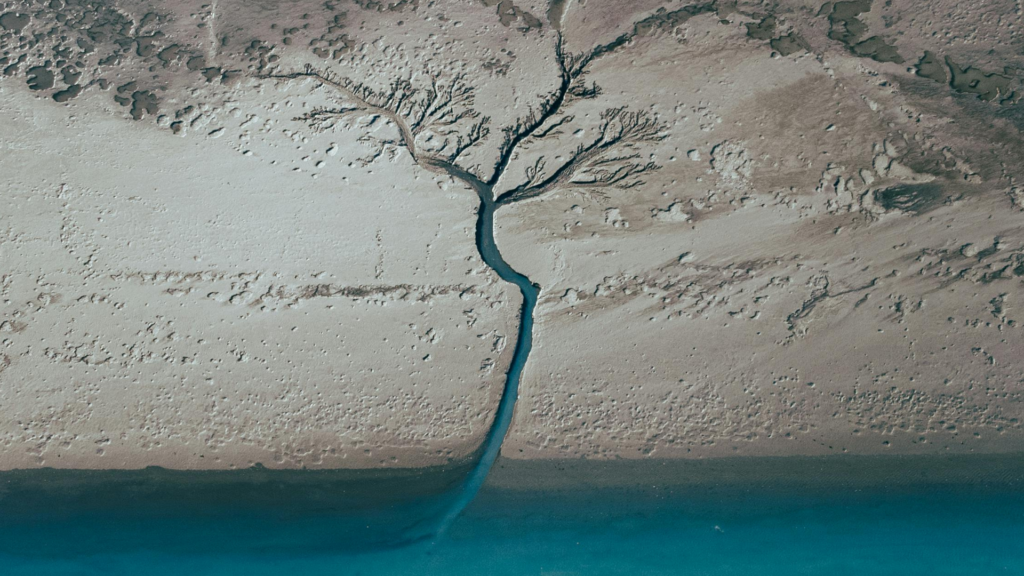 A delta from above the earth illustrating how rivers divide in fractal patterns.